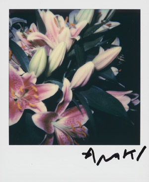 Lot 4073, Auction  114, Araki, Nobuyoshi, Flowers