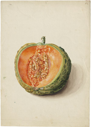 Lot 6259, Auction  114, Blaschek, Franz, Cantaloupe-Melone