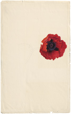 Lot 6277, Auction  114, Blaschek, Franz, Roter Mohn