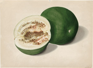 Lot 6302, Auction  114, Blaschek, Franz, Wassermelone