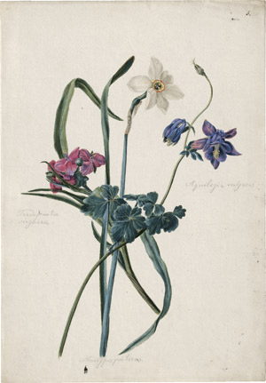 Lot 6308, Auction  114, Blaschek, Franz, Studienblatt mit Hyazinthe, Tulpe und weißen Narzissen