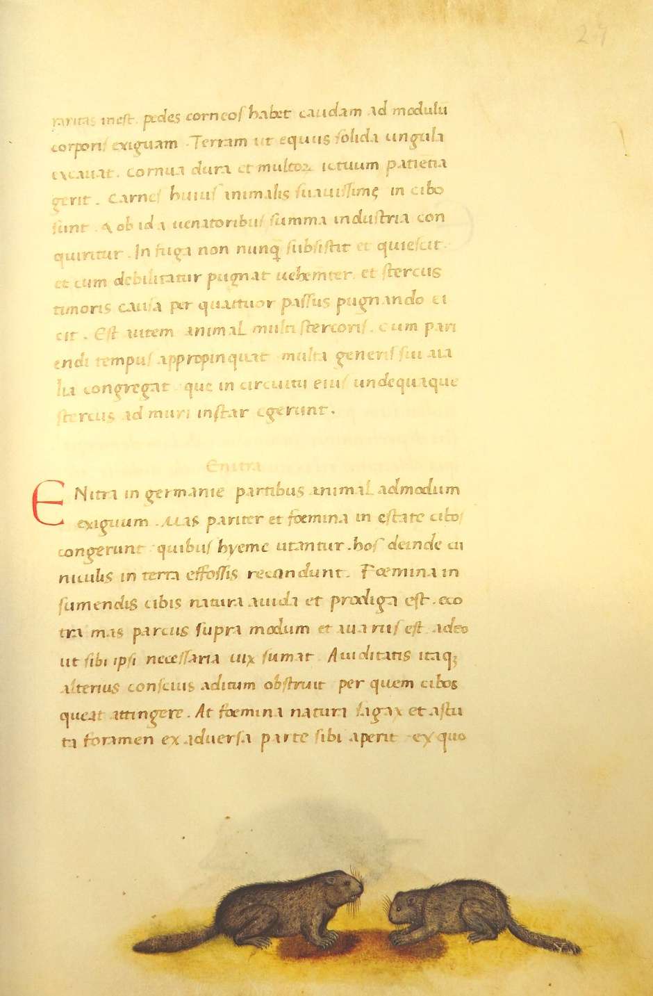 Lot 1445, Auction  115, Tierbuch des Petrus Candidus, Das, Codex urbinas latinus 276 
