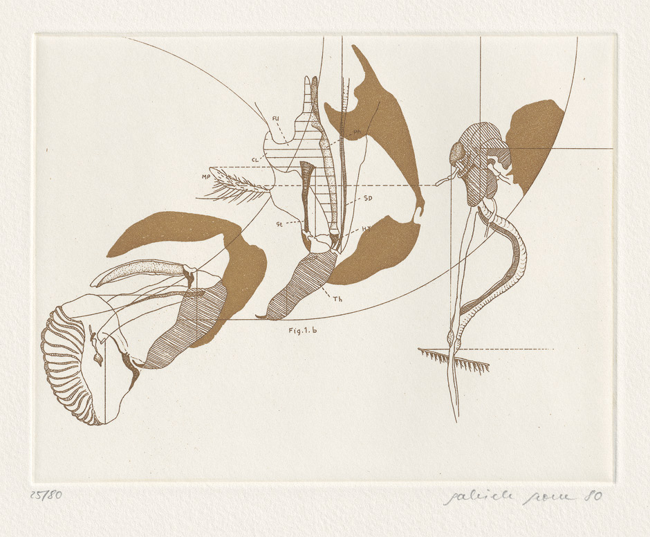 Lot 3214, Auction  115, Insektenbelustigung und Grosse, Gabriele - Illustr., A. J. Rösel von Rosenhof in memoriam