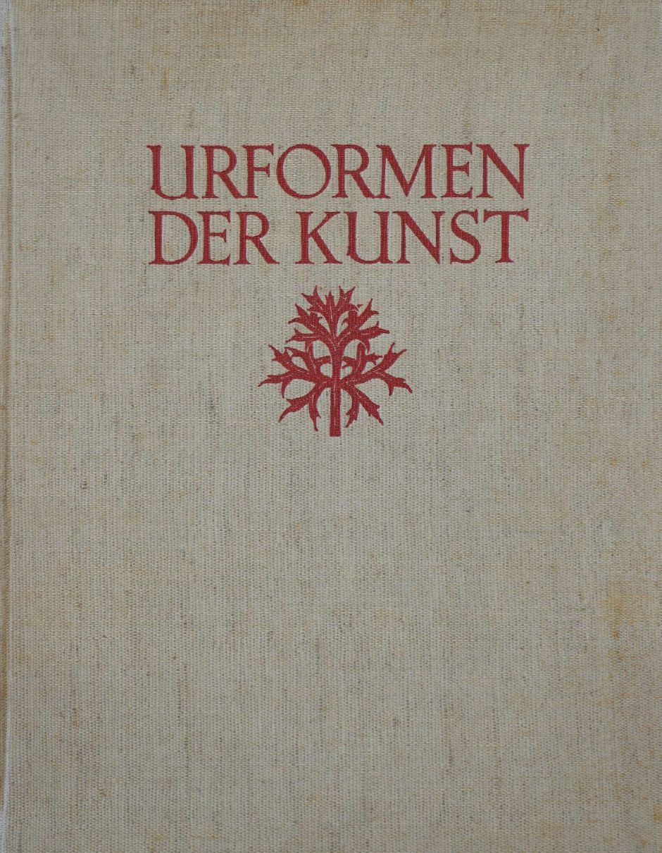 Lot 3490, Auction  115, Blossfeldt, Karl, Urformen der Kunst