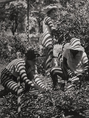 Lot 4384, Auction  115, Zadek, Walter, Kibbutz workers harvesting