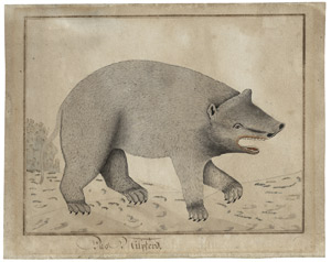 Lot 6677, Auction  115, Deutsch, 18. Jh. "Das Nilpferd" - Laufender Bär