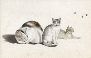 Lot 6778, Auction  115, Mind, Gottfried, Drei ruhende Katzen Fliegen beobachtend