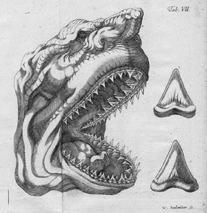 Lot 378, Auction  116, Leibniz, Gottfried Wilhelm, Protogaea