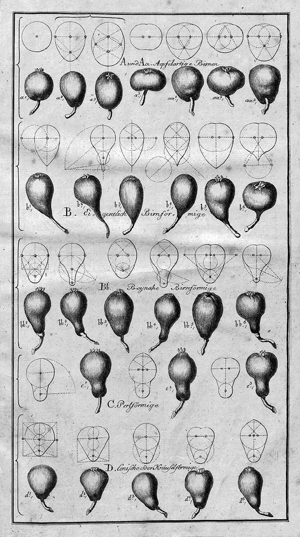 Lot 410, Auction  116, Manger, Heinrich Ludwig, Vollständige Anleitung zu einer systematischen Pomologie wodurch die genaueste Kenntniß von der Natur, Beschaffenheit und den unterschiedenen Merkmalen aller Obstsorten erhalten werden kann