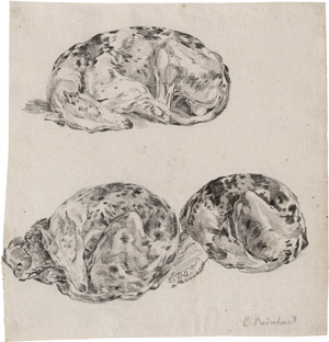 Lot 6763, Auction  116, Reinhart, Johann Christian, Studienblatt mit schlafendem Windhund