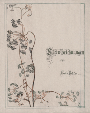 Lot 6917, Auction  116, Mediz-Pelikan, Emilie, Titelentwurf mit Doldengewächsen