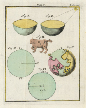 Lot 2831, Auction  117, Hocker, Johann Ludwig, Einleitung zur Erkenntnis und Gebrauch der Erd- und Himmels-Kugel.