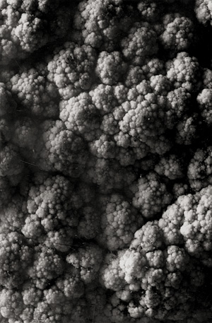 Lot 4327, Auction  117, Thiemann, Elsa, Detail study (cauliflower)