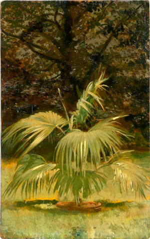 Lot 6176, Auction  117, Werner, Alexander Friedrich, Sommerlicher Garten mit Fächerpalme