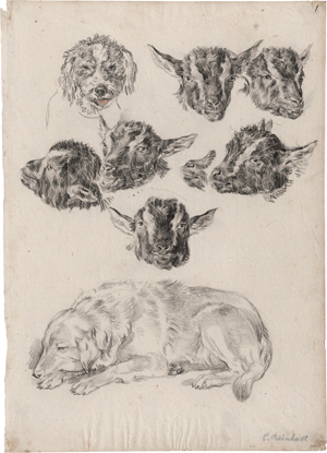 Lot 6614, Auction  117, Reinhart, Johann Christian, Studienblatt mit schlafendem Hund und Ziegenköpfen