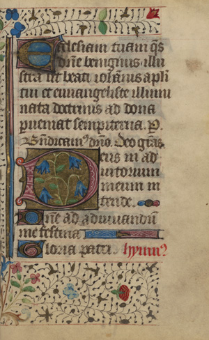 Lot 1018, Auction  118, Horae instauratae, Lateinische Handschrift auf Pergament. 