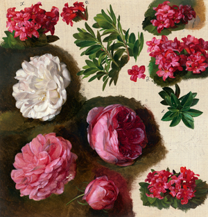 Lot 6058, Auction  118, Küss, Ferdinand, Studie mit vier Rosen und Alpenrosen