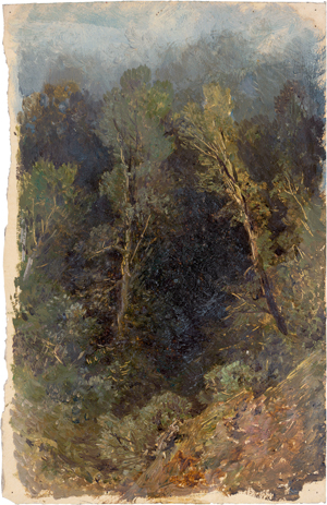 Lot 6127, Auction  118, Piepenhagen, Charlotte, Blick in einen Waldesgrund