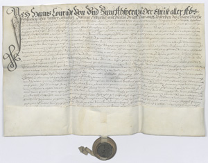 Lot 2596, Auction  119, Lehensbrief Berching, Pergament-Ukunde