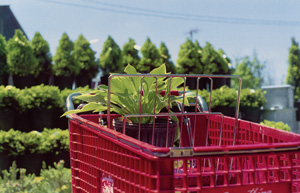 Lot 4123, Auction  119, Eggleston, William, Memphis, Tennessee (Red Cart)