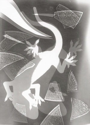 Lot 4187, Auction  119, Landauer, Lou, Photograms of geckos