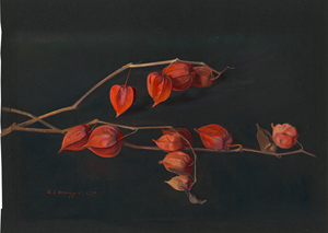 Lot 6744, Auction  119, Honegger, Karl Lukas, Zweig einer Lampionblume (Physalis alkekengi) vor dunklem Grund