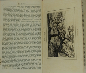 Lot 31, Auction  120, Welt-Gemälde-Gallerie, oder Geschichte und Beschreibung aller Länder und Völker