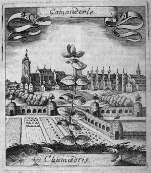 Lot 1536, Auction  120, Valentini, Michael Bernhard, Viridarium reformatum, seu regnum vegetabile, das ist