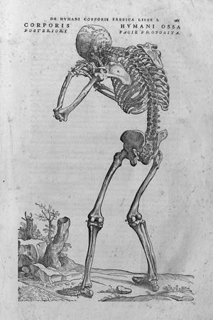 Lot 1623, Auction  120, Vesalius, Andreas, De humani corporis fabrica. 17 Blätter mit 19 (16 ganzseitigen) Textholzschnitten. 