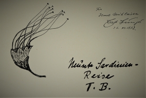 Lot 2956, Auction  120, Jünger, Ernst, Neunte Sardinien-Reise T.B. 