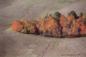 Lot 4167, Auction  120, Fontana, Franco, Landscape