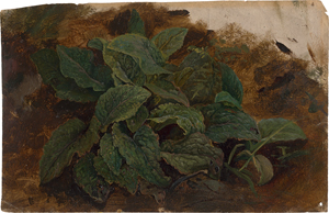Lot 6743, Auction  120, Deutsch, um 1830. Studie einer Blattpflanze