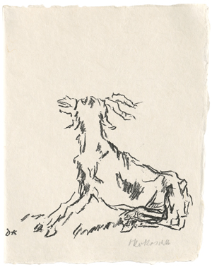 Lot 7052, Auction  120, Kokoschka, Oskar, Ziege