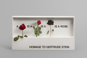 Lot 8297, Auction  120, Ulrichs, Timm, Homage to Gertrude Stein (a rose is a rose is a rose)