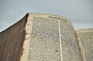 Los 1028 - Die gantze Bibel, - das ist alle bücher allts unnd neüws Testaments - 12 - thumb