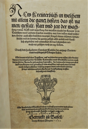Los 1046 - Fuchs, Leonhart - New Kreüterbuch - 5 - thumb