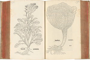 Lot 1046, Auction  121, Fuchs, Leonhart, New Kreüterbuch