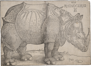Los 5072 - Dürer, Albrecht - Das Rhinozeros - 0 - thumb
