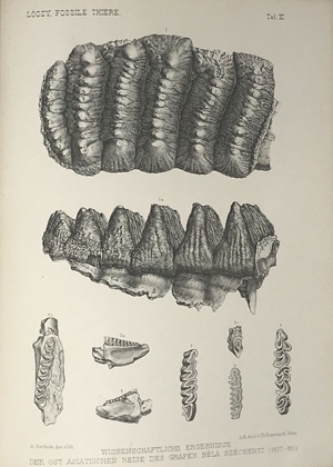 Lot 64, Auction  122, Széchenyi, Béla, Die wissenschaftlichen Ergebnisse der Reise in Ostasien 1877-1880