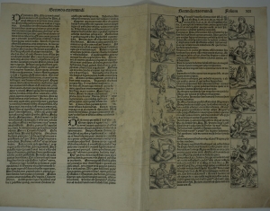 Los 1026 - Schedel, Hartmann - Umfangreiches Fragment mit der Schöpfungsgeschichte aus dem  "Liber chronicarum" - 10 - thumb