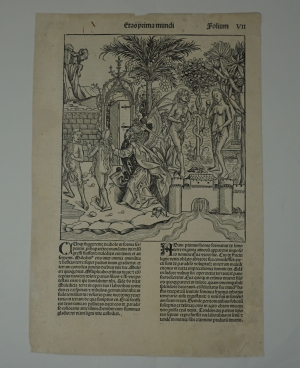 Los 1026 - Schedel, Hartmann - Umfangreiches Fragment mit der Schöpfungsgeschichte aus dem  "Liber chronicarum" - 19 - thumb