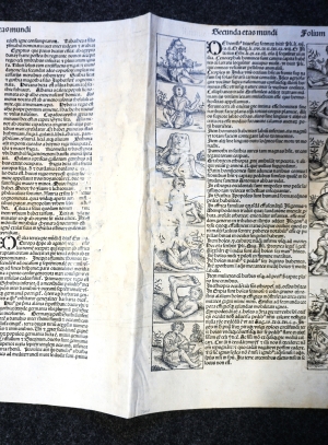 Los 1026 - Schedel, Hartmann - Umfangreiches Fragment mit der Schöpfungsgeschichte aus dem  "Liber chronicarum" - 27 - thumb