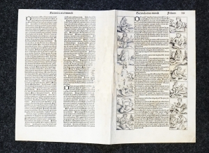 Los 1026 - Schedel, Hartmann - Umfangreiches Fragment mit der Schöpfungsgeschichte aus dem  "Liber chronicarum" - 28 - thumb