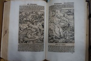 Los 1236 - Biblia germanica - Das neu Testament mit gantz nutzlichen vorreden - 4 - thumb