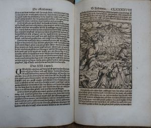 Los 1236 - Biblia germanica - Das neu Testament mit gantz nutzlichen vorreden - 7 - thumb