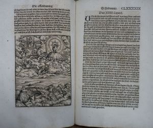 Los 1236 - Biblia germanica - Das neu Testament mit gantz nutzlichen vorreden - 8 - thumb