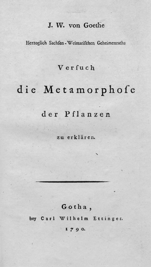 Los 2055 - Goethe, Johann Wolfgang von - Versuch die Metamorphose der Pflanzen zu erklären - 0 - thumb
