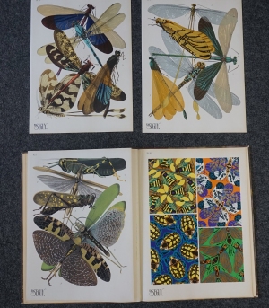 Los 3674 - Seguy, Eugène Alain - Insectes. Vingt planches en phototypie  - 5 - thumb