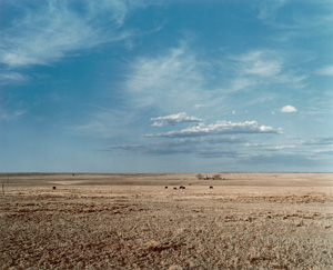 Lot 4315, Auction  123, Wenders, Wim, Landscape. Near Sana Fé, New Mexico