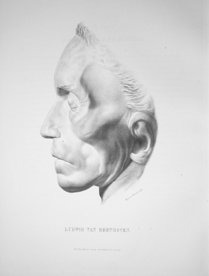 Los 308 - Carus, Carl Gustav - Neuer Atlas der Cranioskopie. Leipzig, Brockhaus, 1864. - Zweite vermehrte und verbesserte Auflage - 1 - thumb